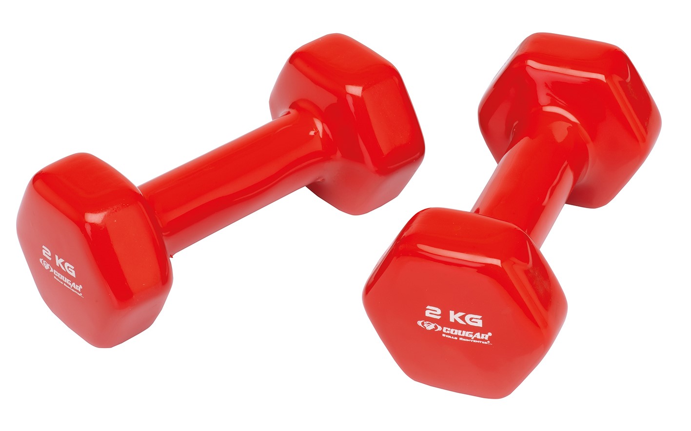 Fitness Hantel 2 kg